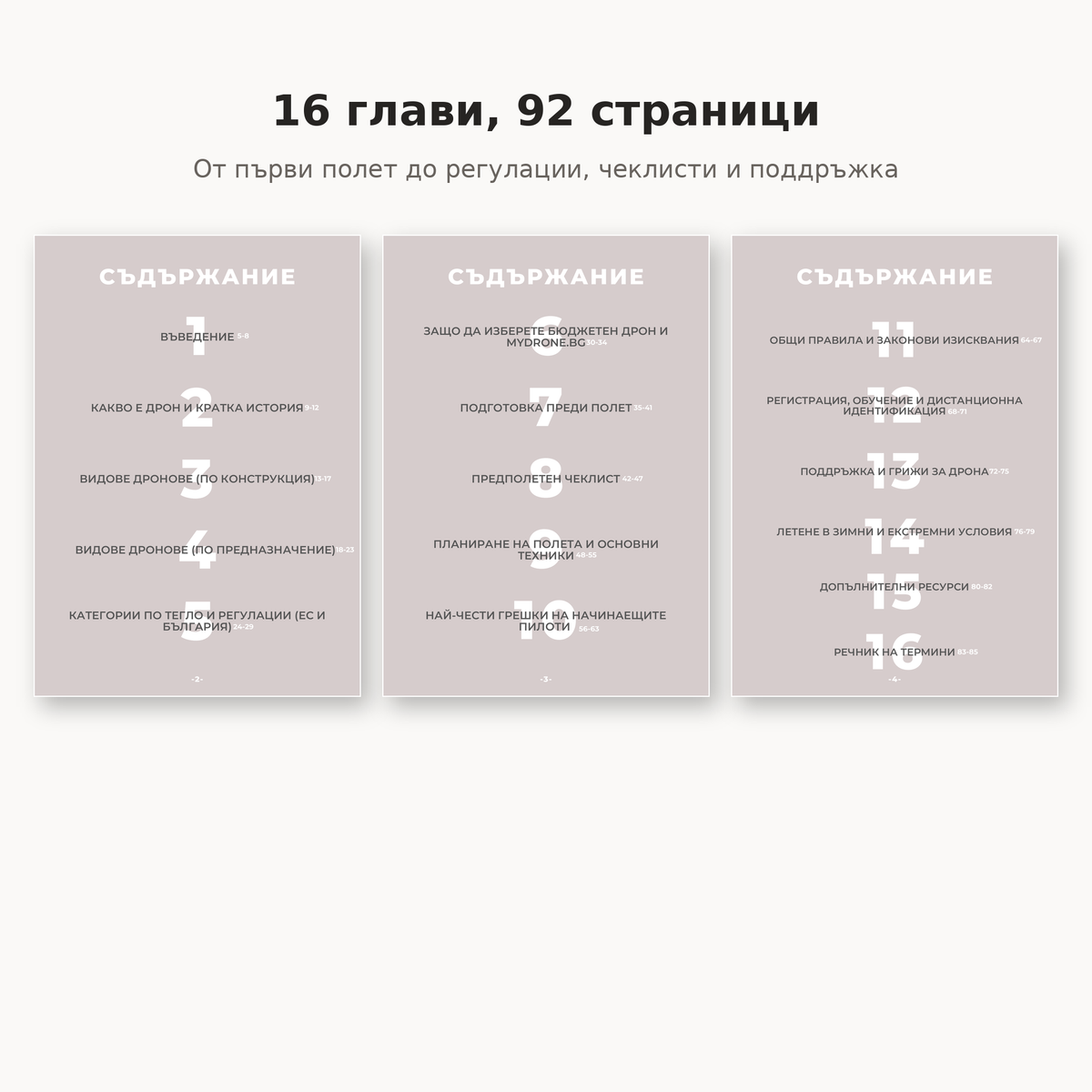 Гигантско ръководство за начинаещи пилоти на дронове